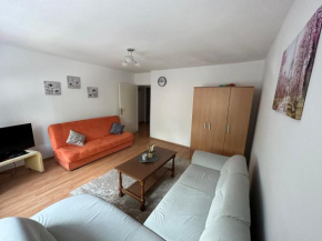 Apartman Grbavica
